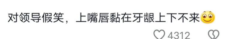 Word文档图片