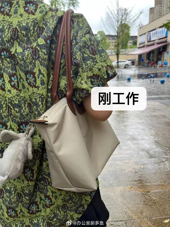 Word文档图片