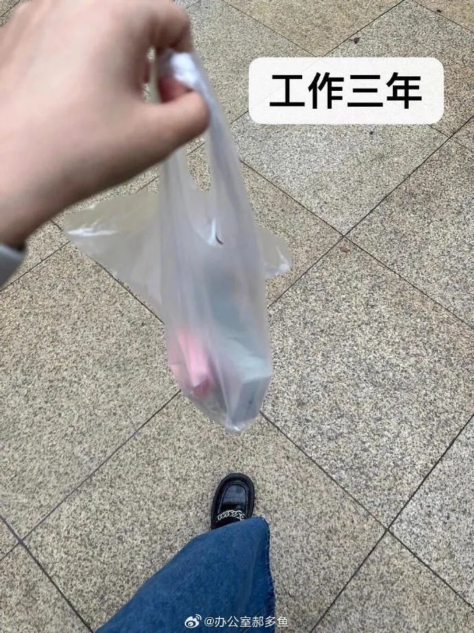 Word文档图片