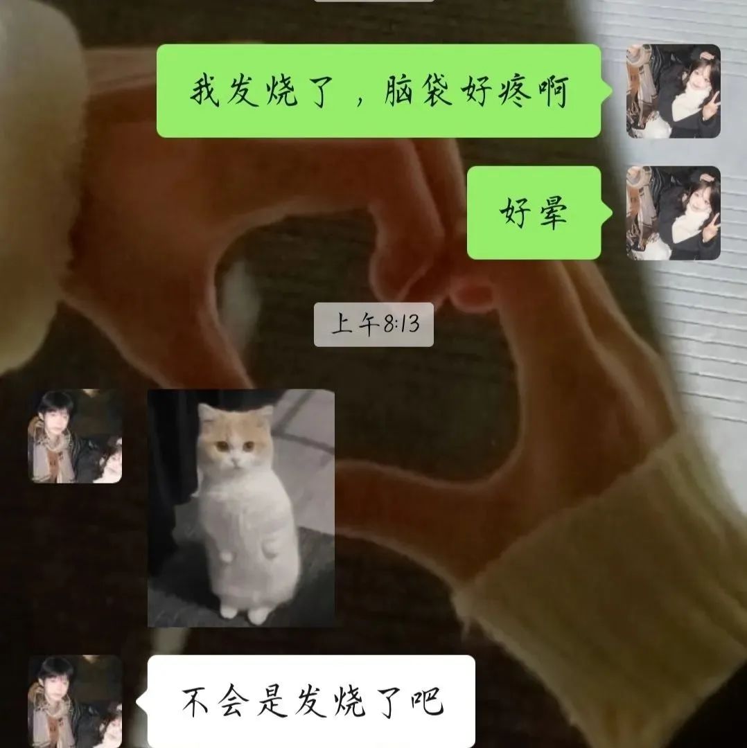 Word文档图片
