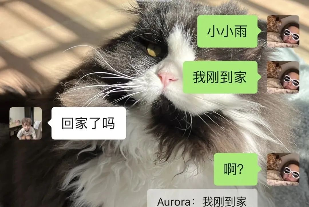Word文档图片