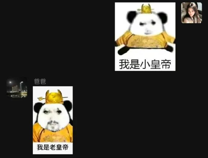 Word文档图片