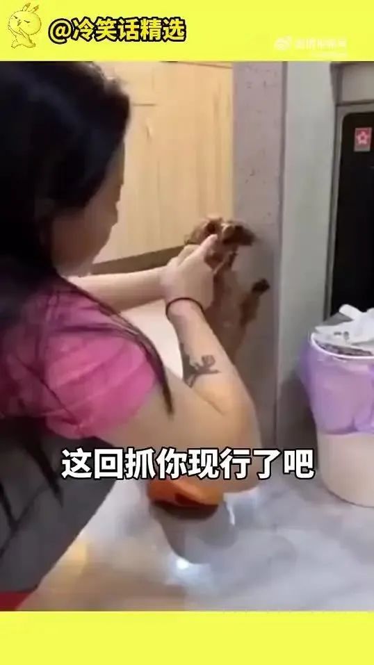 Word文档图片