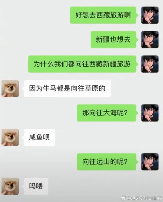 Word文档图片