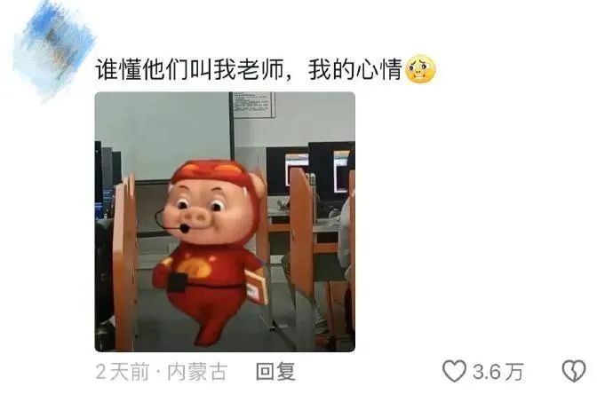 Word文档图片