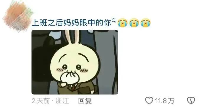 Word文档图片