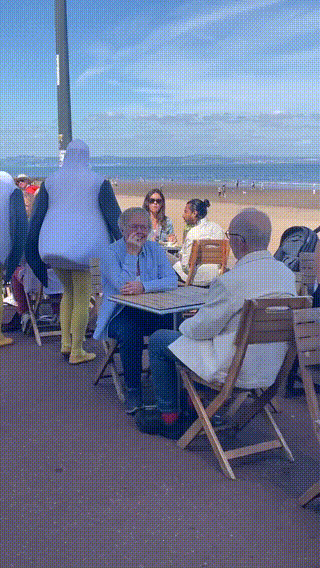 Word文档图片