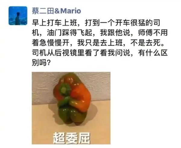 Word文档图片