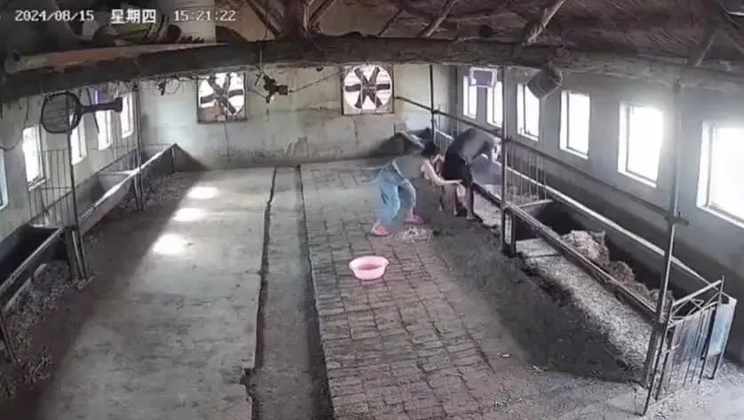 Word文档图片