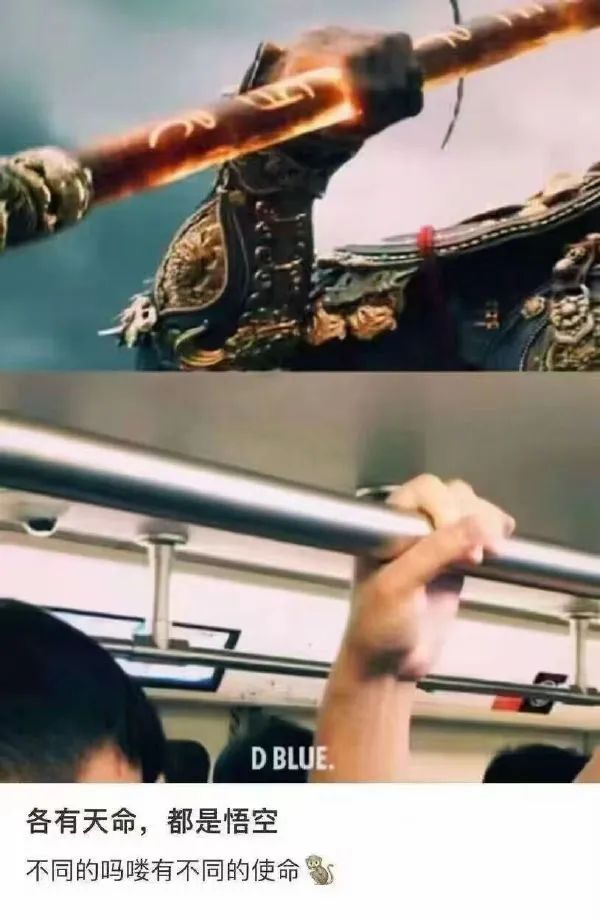 Word文档图片
