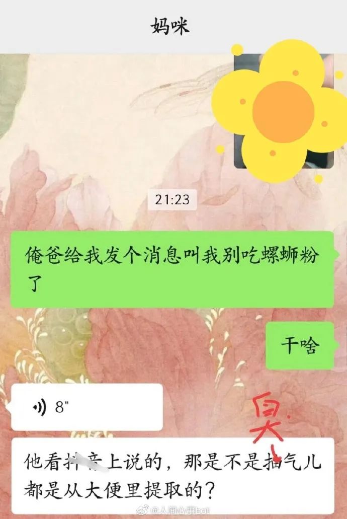 Word文档图片