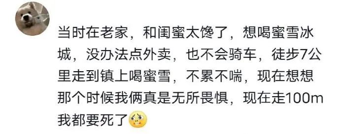 Word文档图片