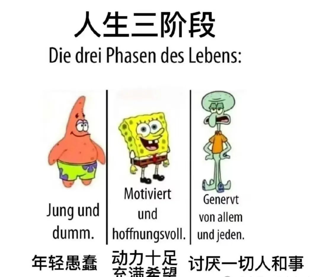 Word文档图片