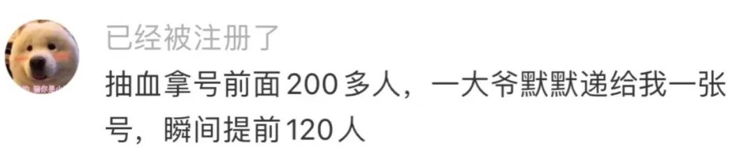 Word文档图片