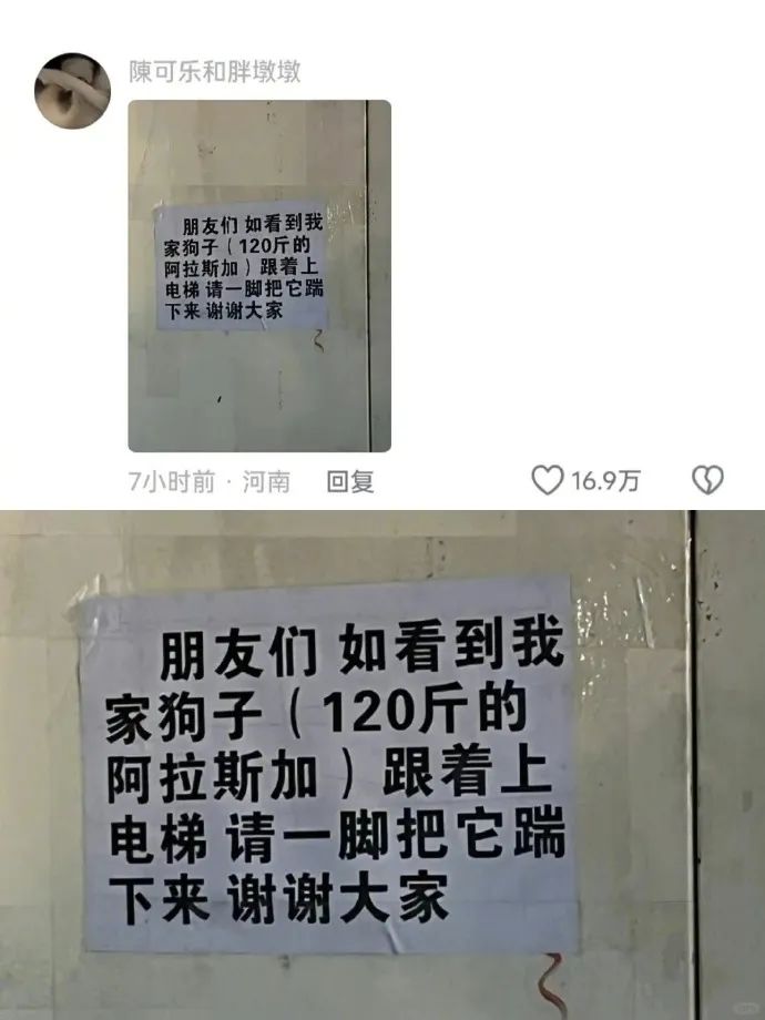 Word文档图片