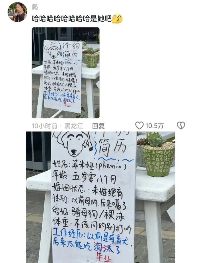 Word文档图片