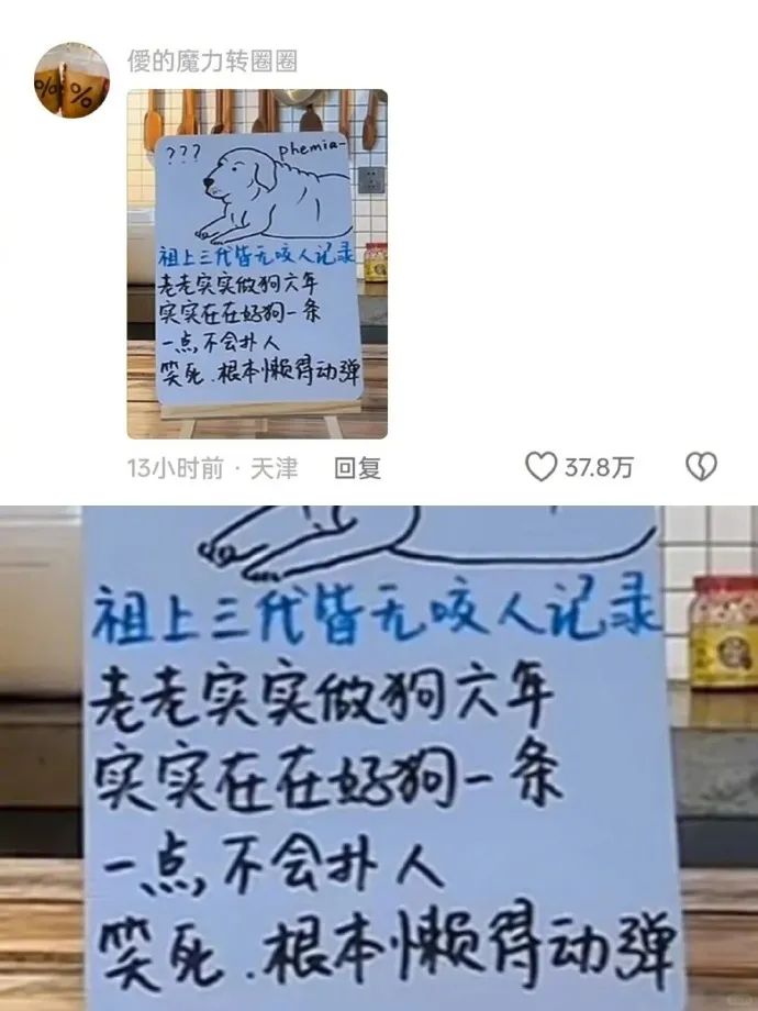 Word文档图片