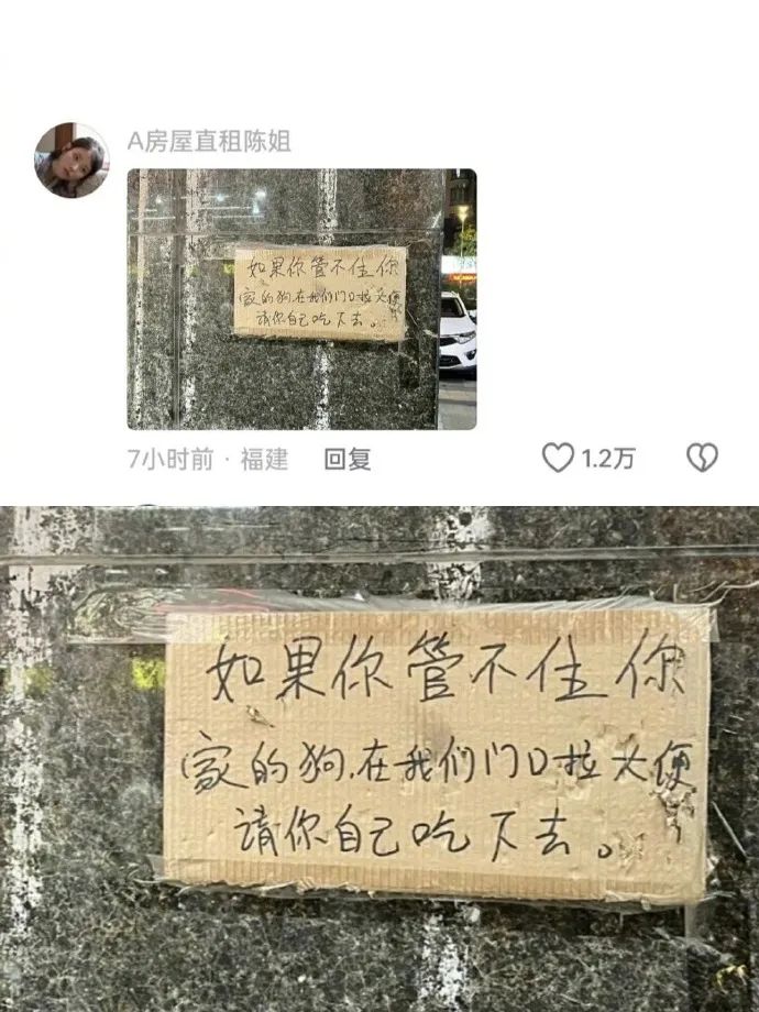 Word文档图片