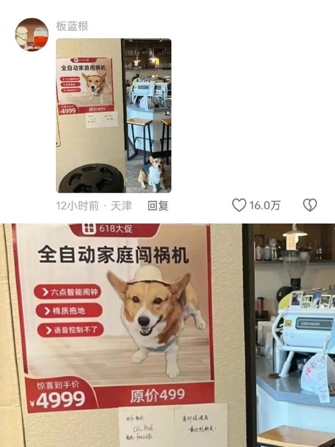 Word文档图片