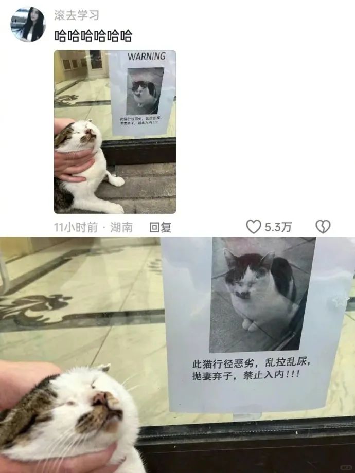 Word文档图片