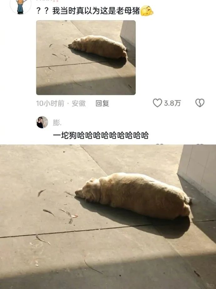 Word文档图片