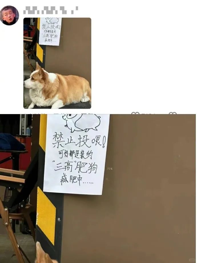 Word文档图片