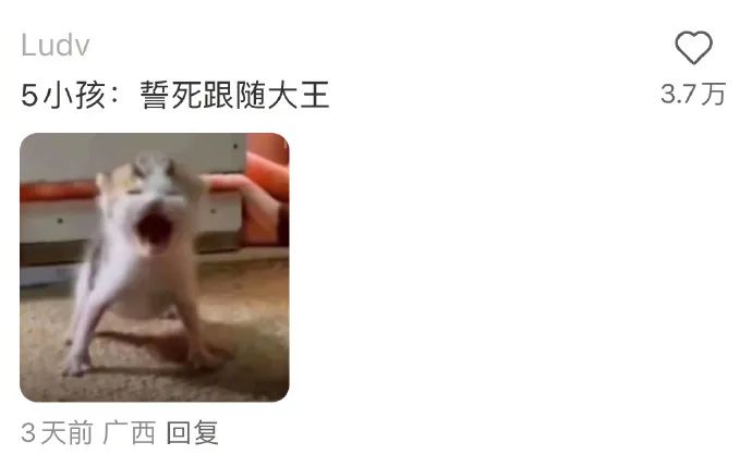 Word文档图片