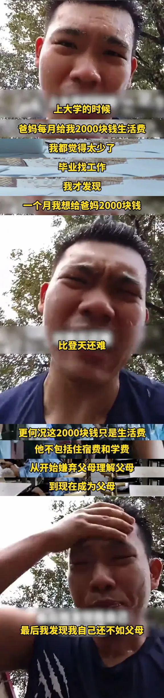 Word文档图片