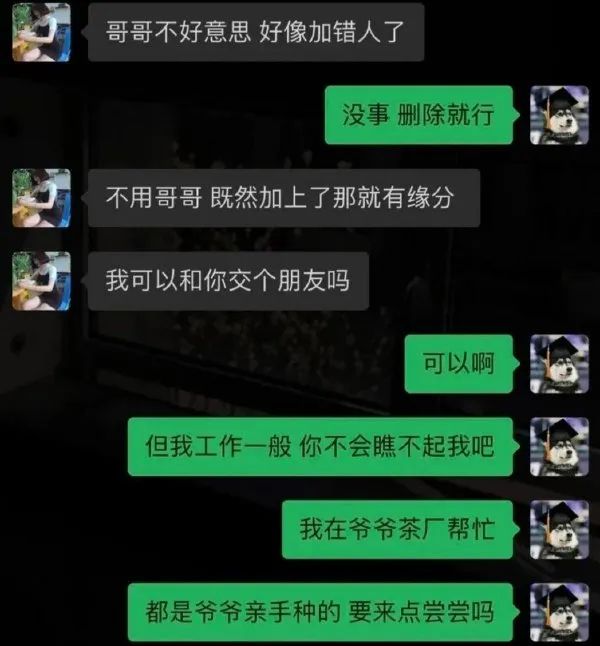 Word文档图片