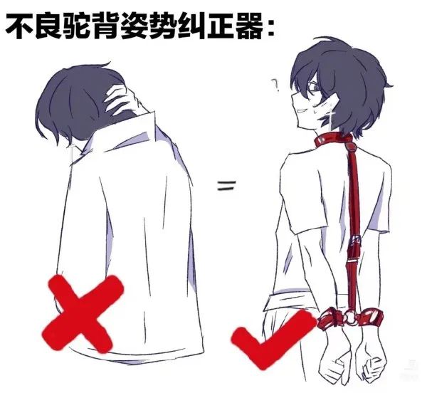 Word文档图片
