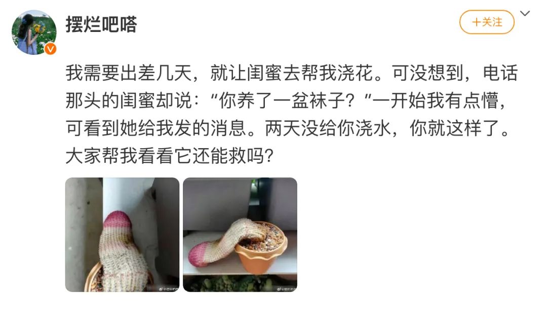 Word文档图片