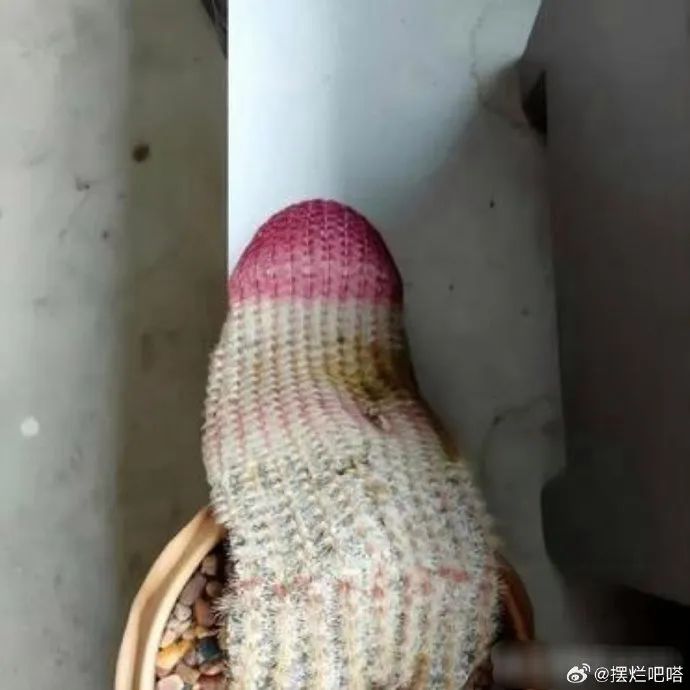 Word文档图片