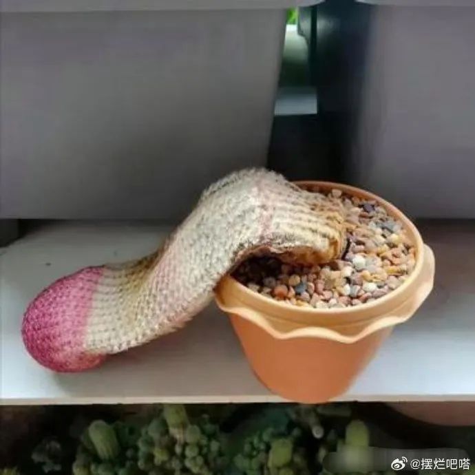 Word文档图片