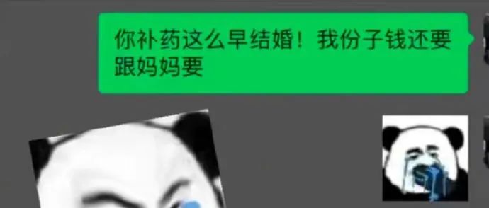 Word文档图片