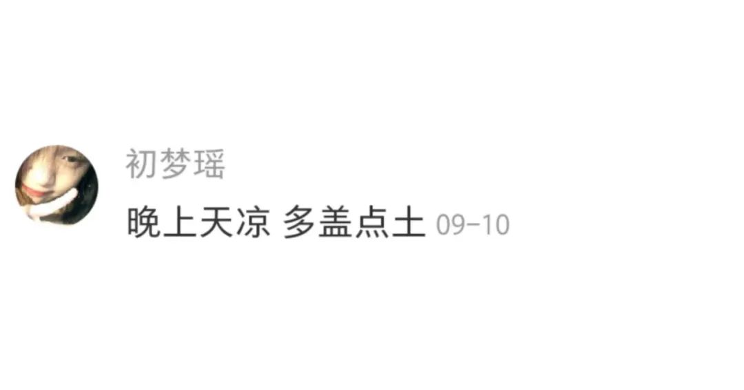 Word文档图片