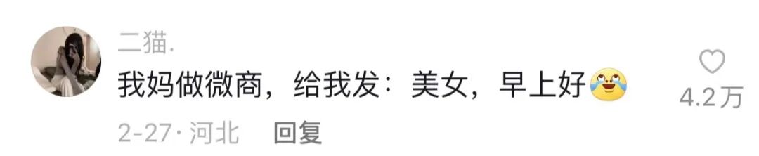 Word文档图片