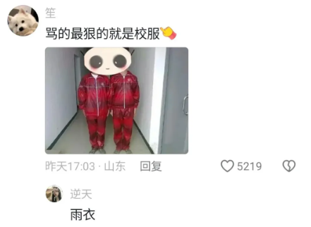 Word文档图片