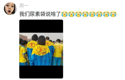 Word文档图片