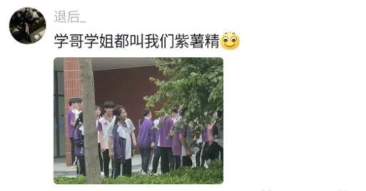 Word文档图片