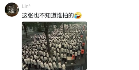 Word文档图片