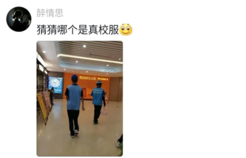 Word文档图片