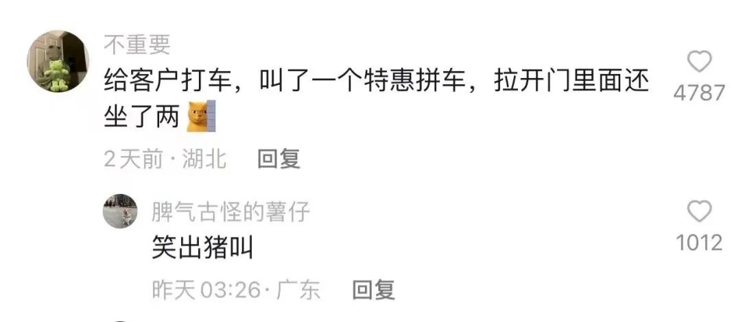 Word文档图片