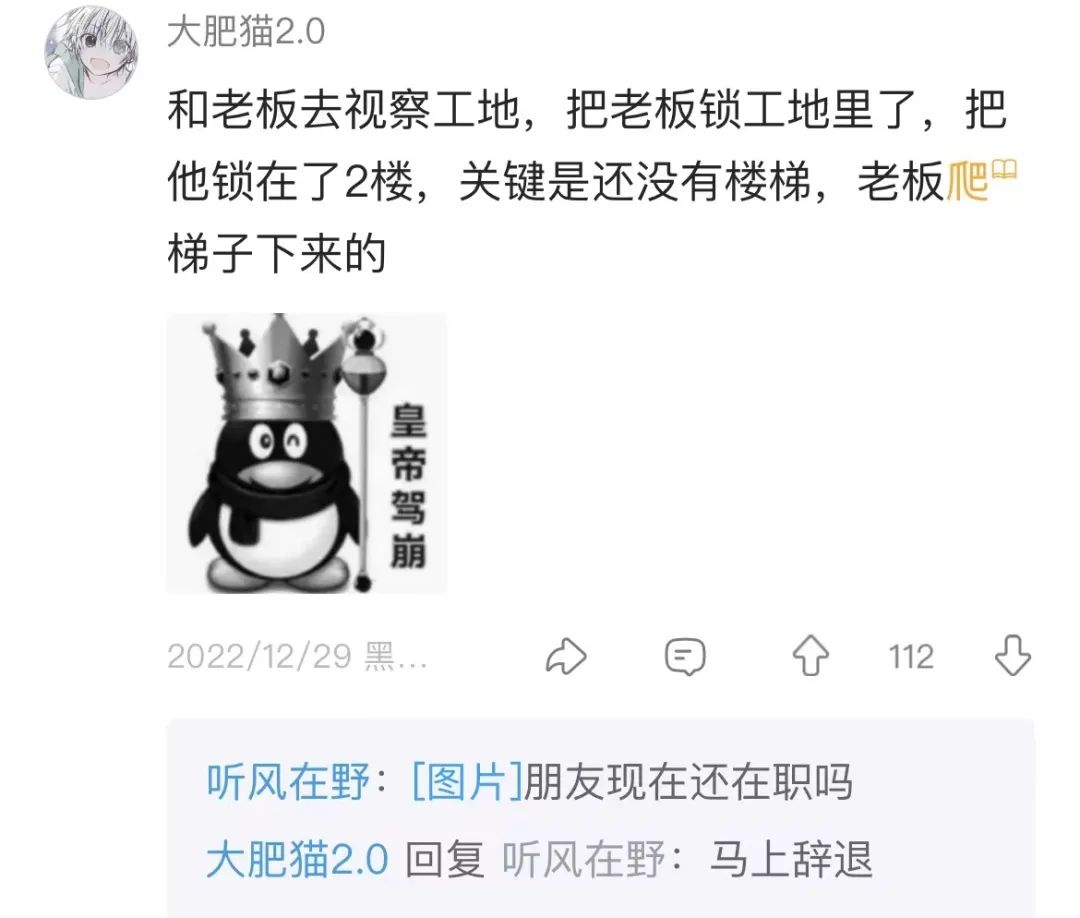 Word文档图片