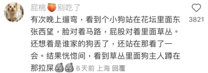 Word文档图片