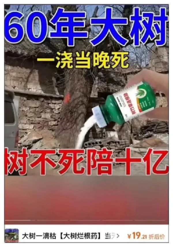 Word文档图片