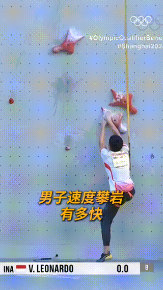 Word文档图片