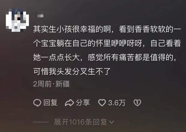 Word文档图片