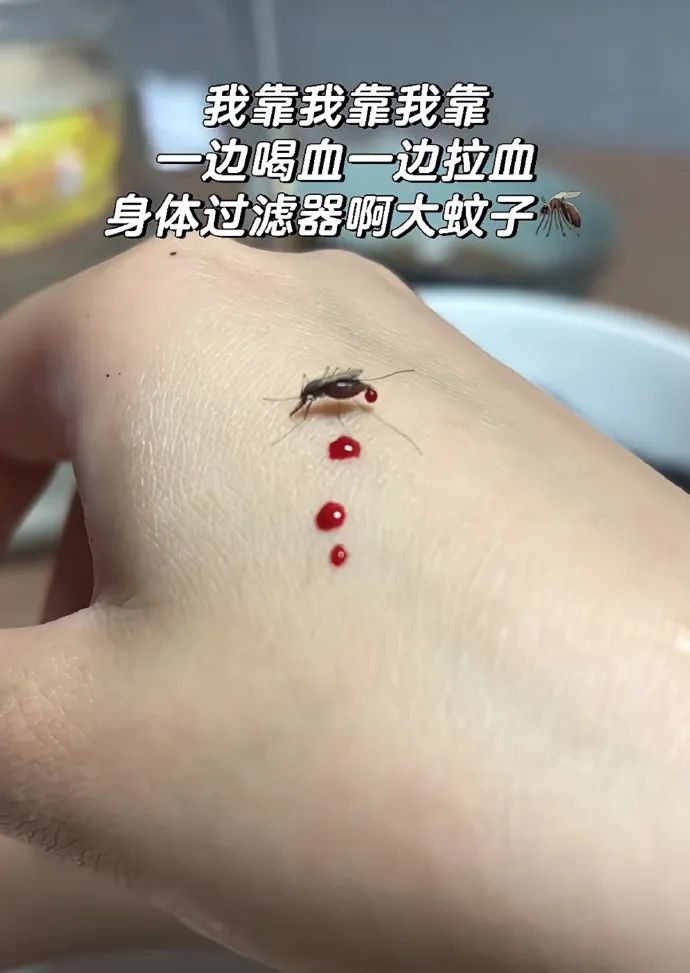 Word文档图片