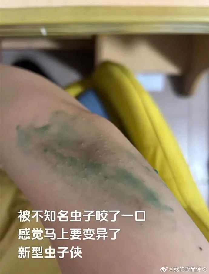 Word文档图片