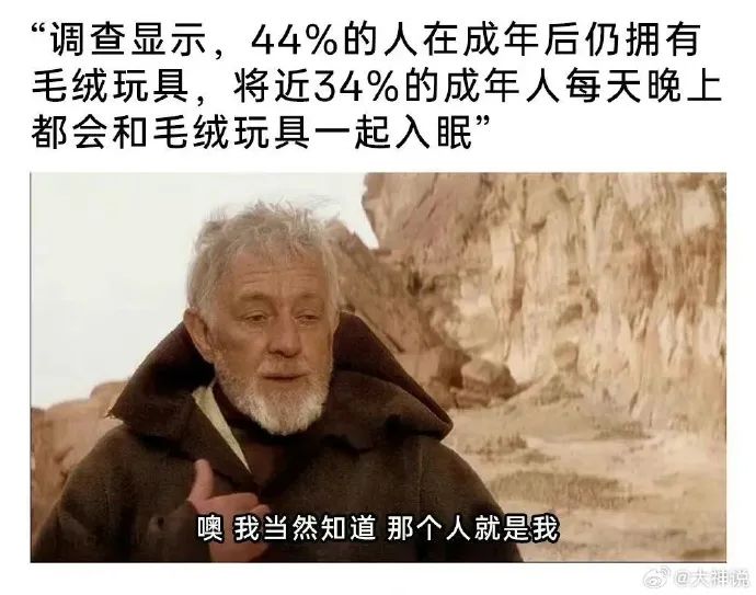 Word文档图片